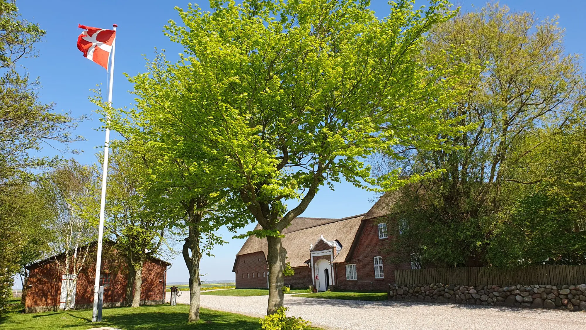 Klægager